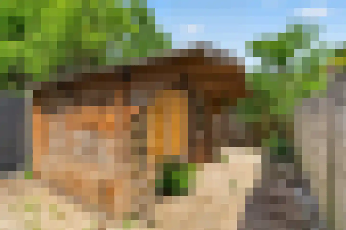 Papaverstraat 3 Eindhoven thumbnail 23