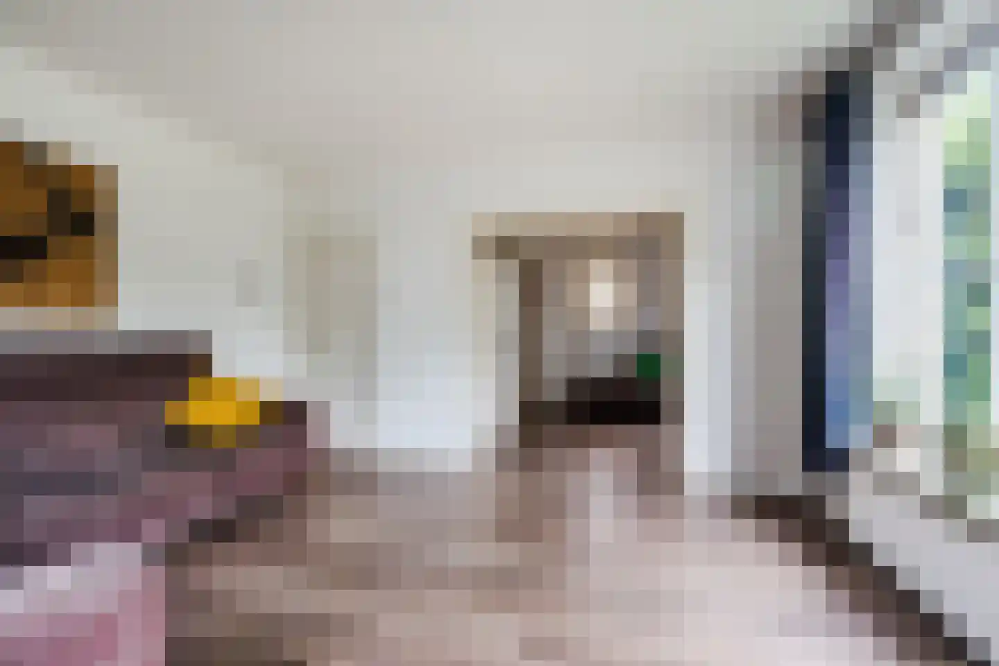 Papaverstraat 3 Odiliapeel thumbnail 10