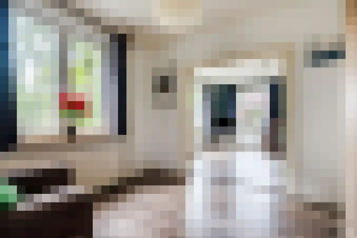 Papaverstraat 3 Odiliapeel thumbnail 12