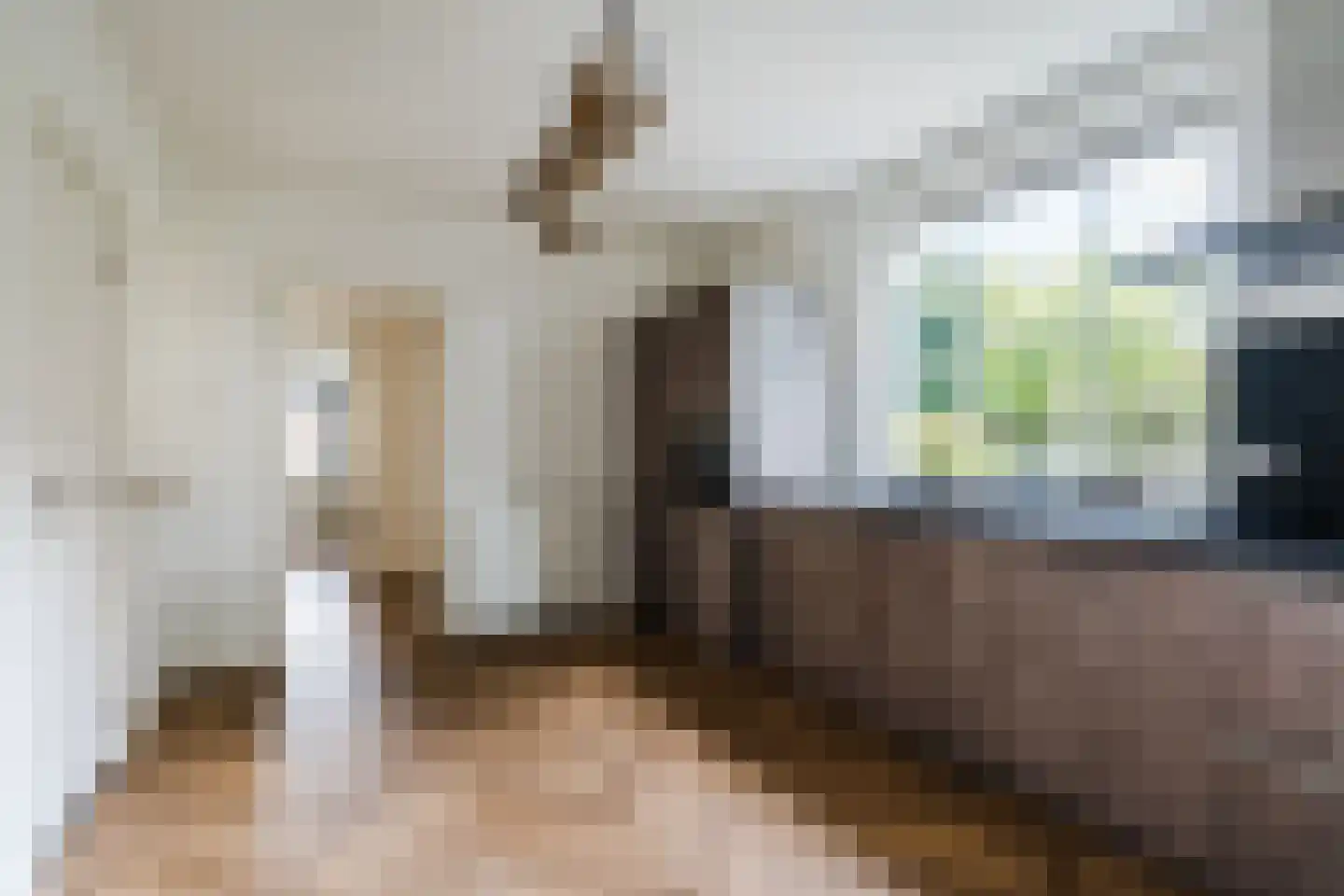 Papaverstraat 3 Odiliapeel thumbnail 18