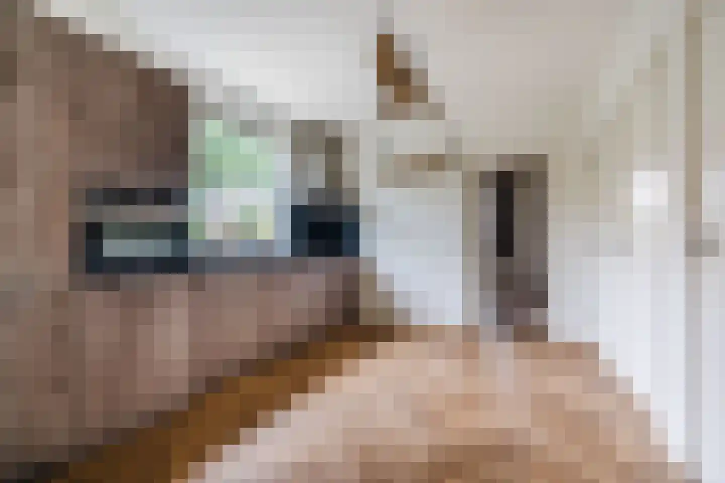 Papaverstraat 3 Odiliapeel thumbnail 20
