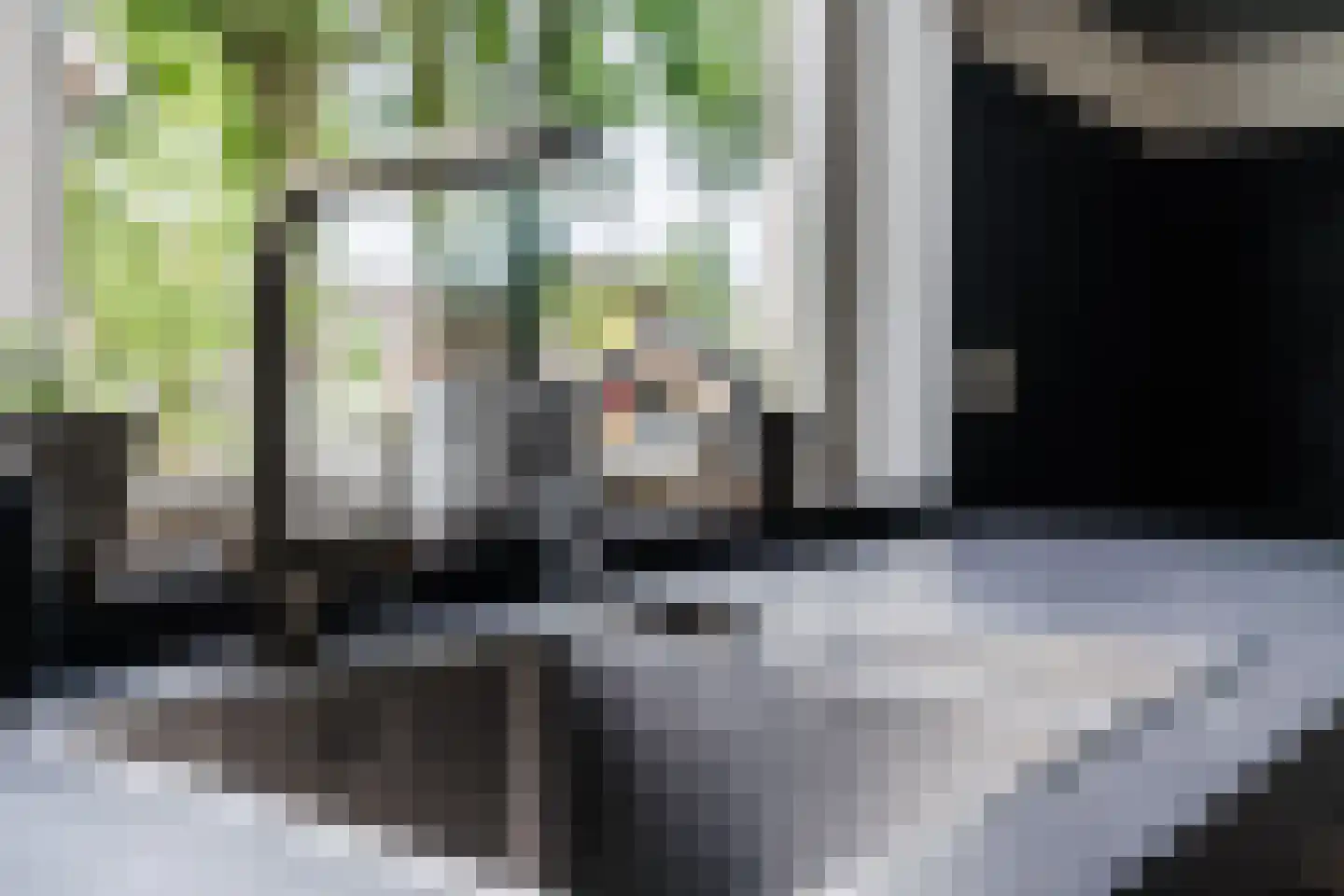 Papaverstraat 3 Odiliapeel thumbnail 22