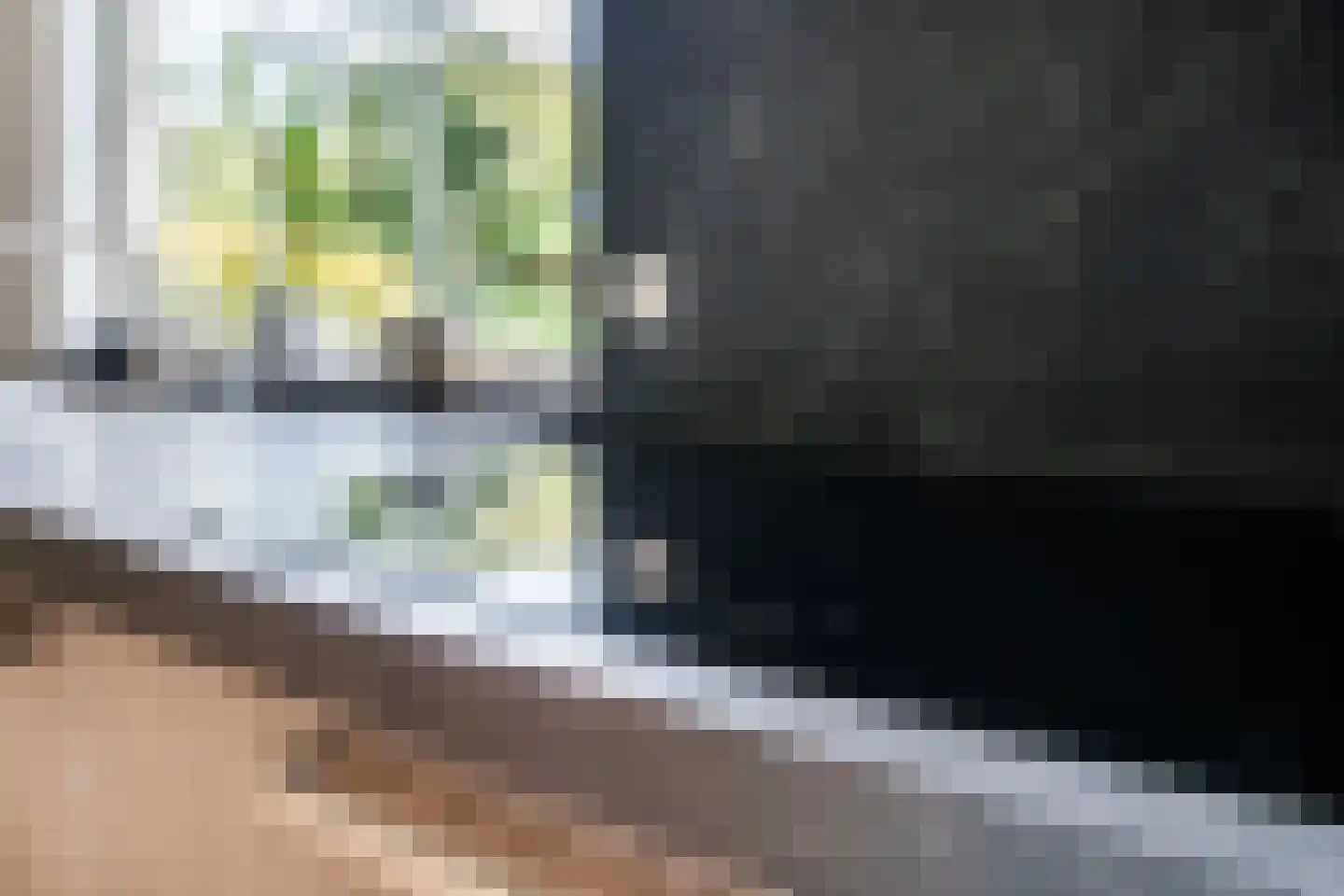 Papaverstraat 3 Odiliapeel thumbnail 23