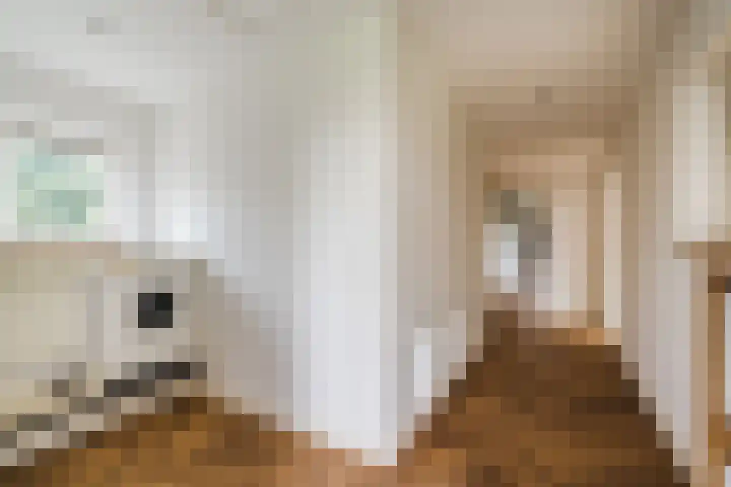 Papaverstraat 3 Odiliapeel thumbnail 25