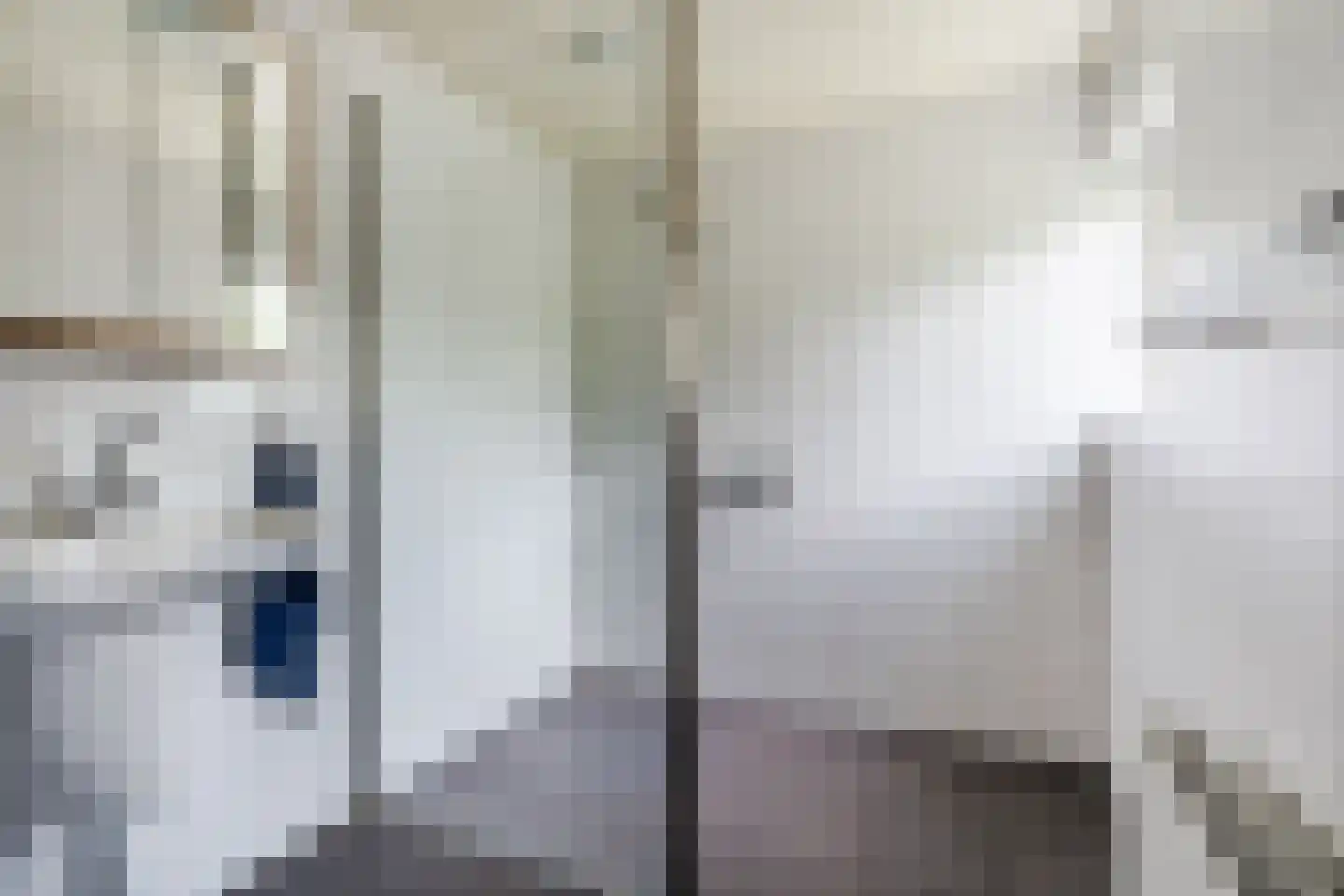Papaverstraat 3 Odiliapeel thumbnail 26