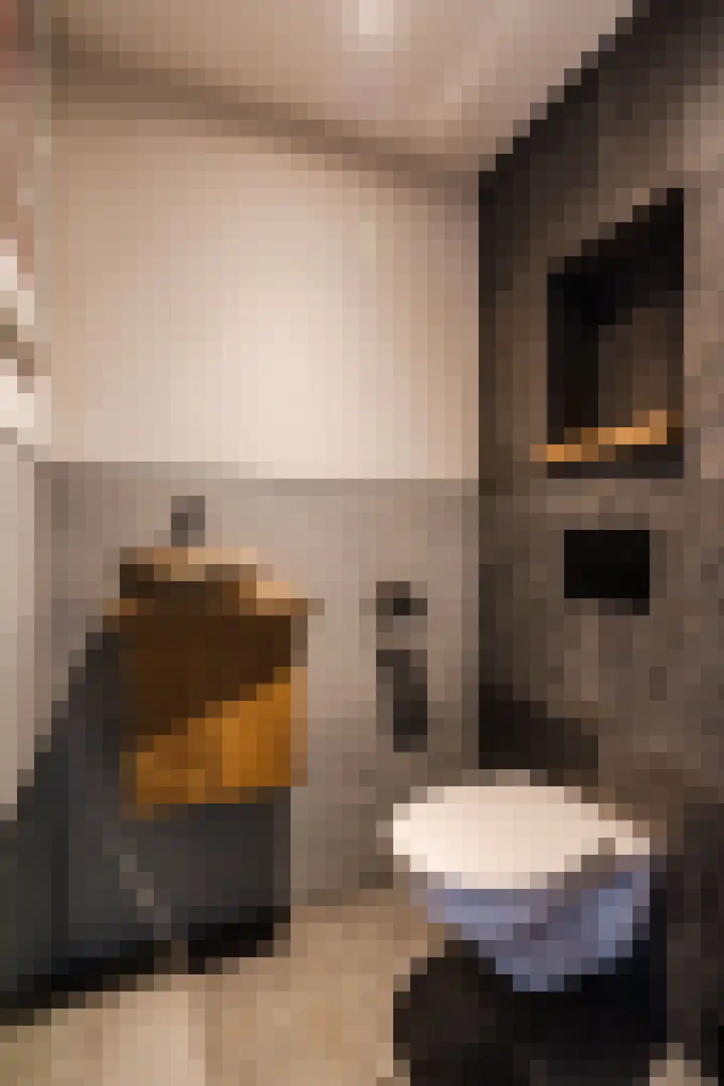 Papaverstraat 3 Odiliapeel thumbnail 37