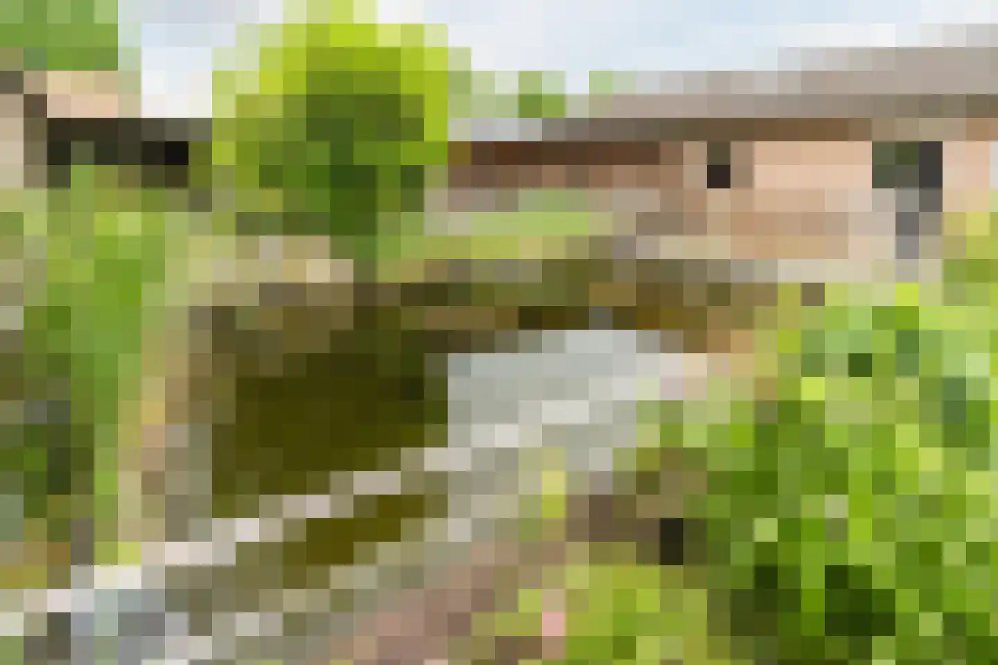 Papaverstraat 3 Odiliapeel thumbnail 46