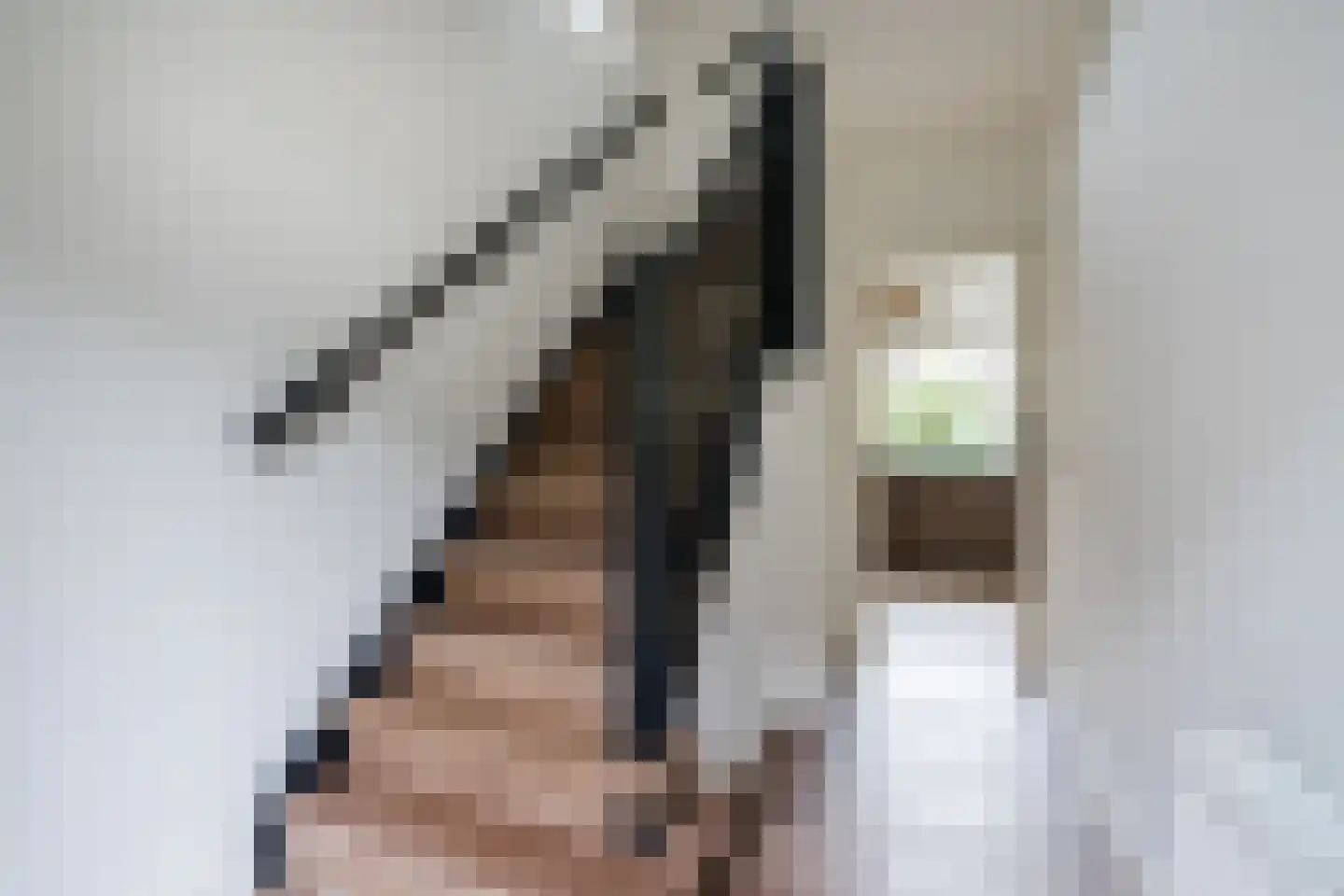 Papaverstraat 3 Odiliapeel thumbnail 5