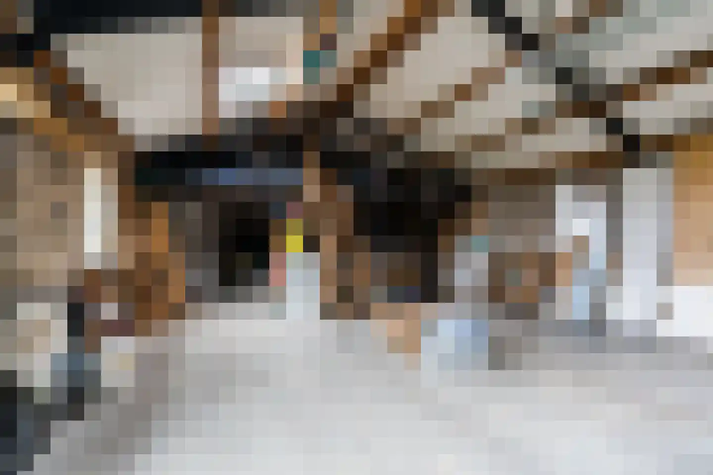Papaverstraat 3 Odiliapeel thumbnail 52