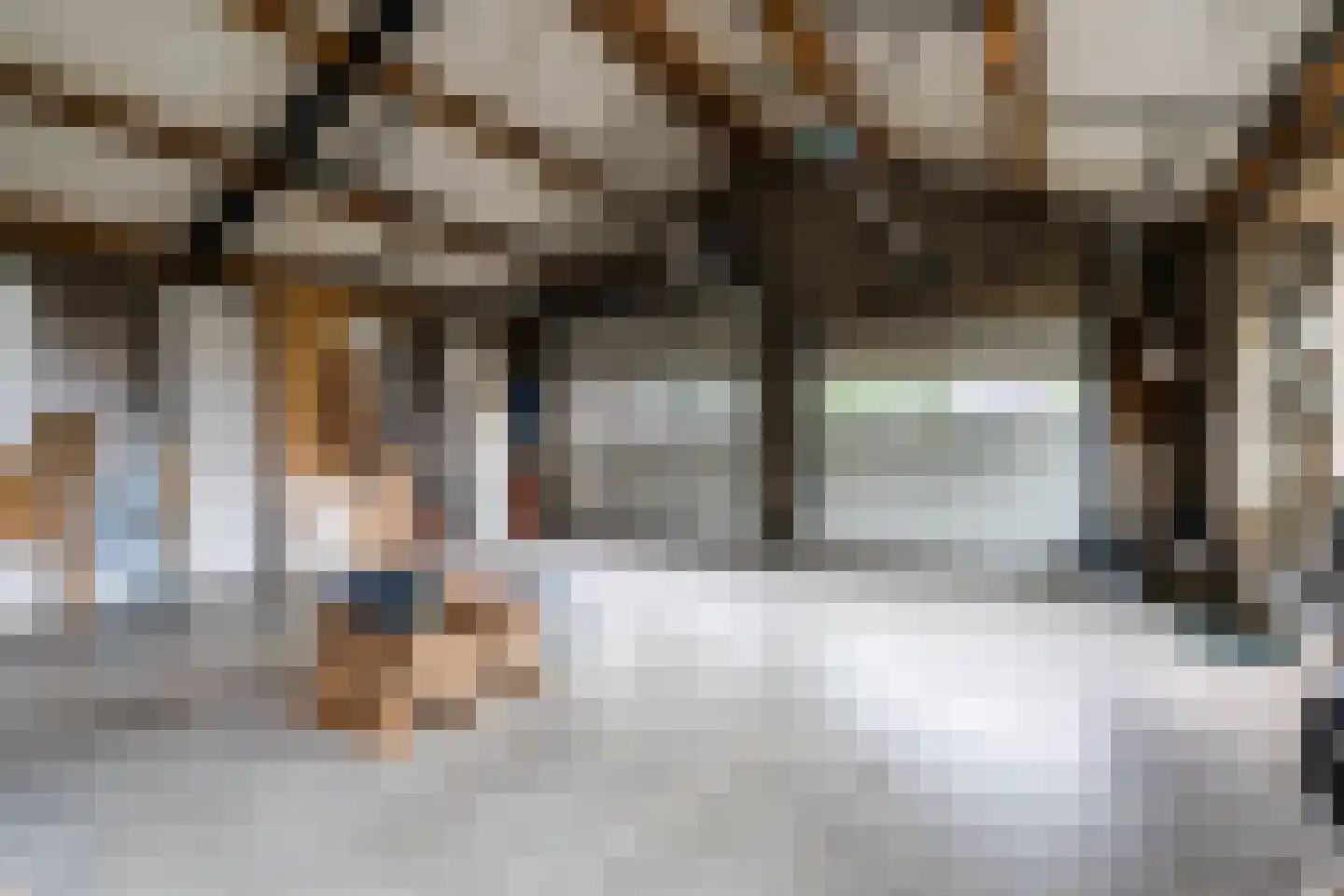 Papaverstraat 3 Odiliapeel thumbnail 53