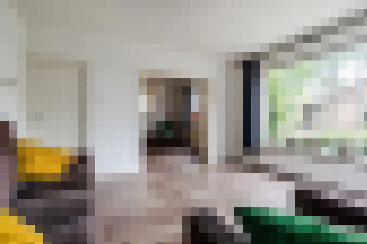 Papaverstraat 3 Odiliapeel thumbnail 9