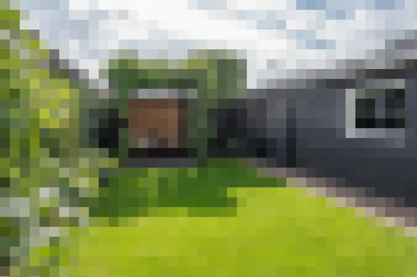Papaverstraat 30 Zelhem thumbnail 31