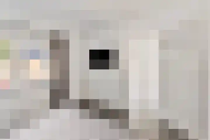 Papaverstraat 31 Eindhoven thumbnail 11