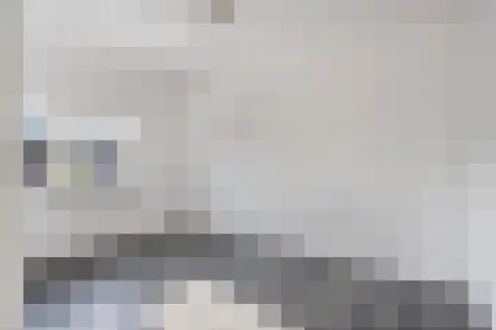 Papaverstraat 31 Eindhoven thumbnail 13