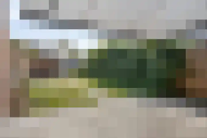 Papaverstraat 31 Eindhoven thumbnail 15