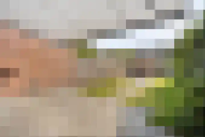 Papaverstraat 31 Eindhoven thumbnail 16