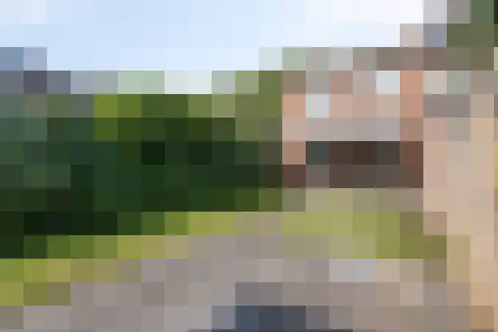 Papaverstraat 31 Eindhoven thumbnail 17