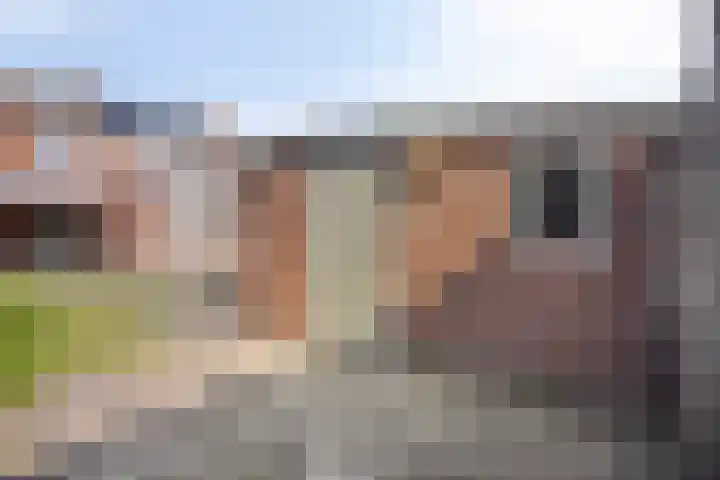 Papaverstraat 31 Eindhoven thumbnail 18