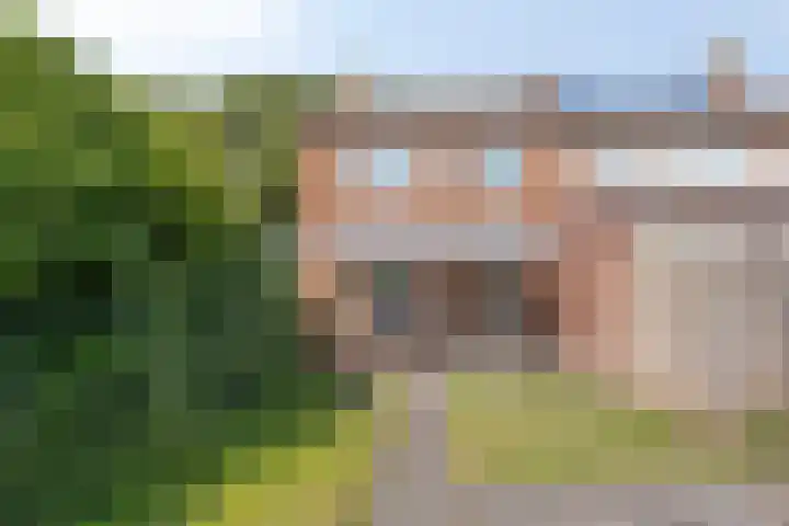 Papaverstraat 31 Eindhoven thumbnail 19