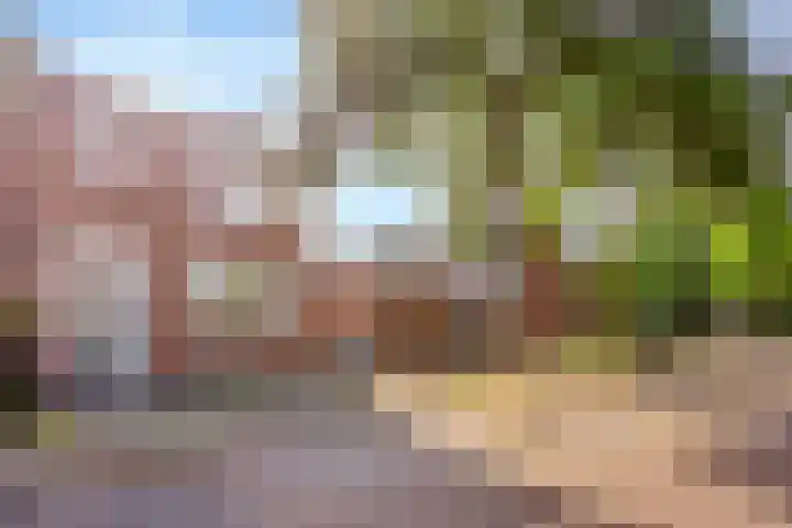 Papaverstraat 31 Eindhoven thumbnail 21