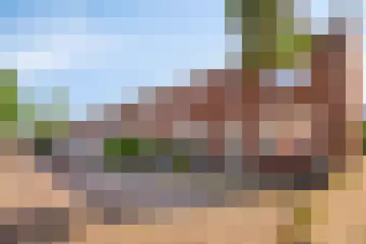 Papaverstraat 31 Eindhoven thumbnail 22