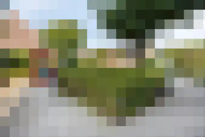 Papaverstraat 31 Eindhoven thumbnail 23