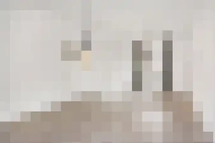 Papaverstraat 31 Eindhoven thumbnail 4