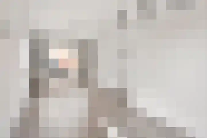 Papaverstraat 31 Eindhoven thumbnail 5