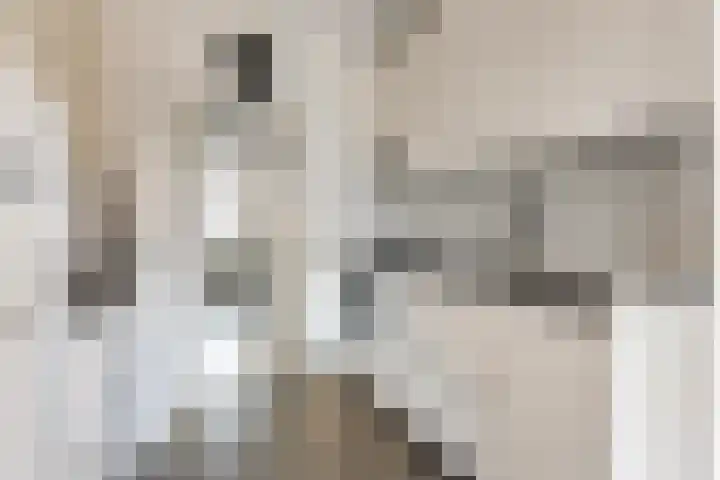 Papaverstraat 31 Eindhoven thumbnail 6