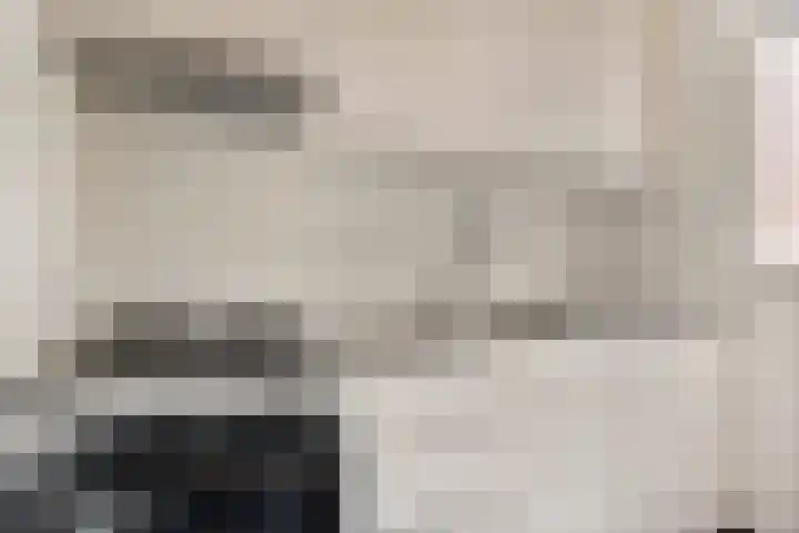 Papaverstraat 31 Eindhoven thumbnail 8