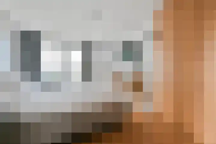 Papaverstraat 33 Nieuw-Vennep thumbnail 33