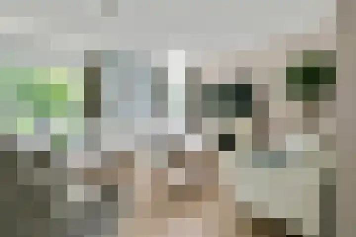 Papaverstraat 33 Nieuw-Vennep thumbnail 9