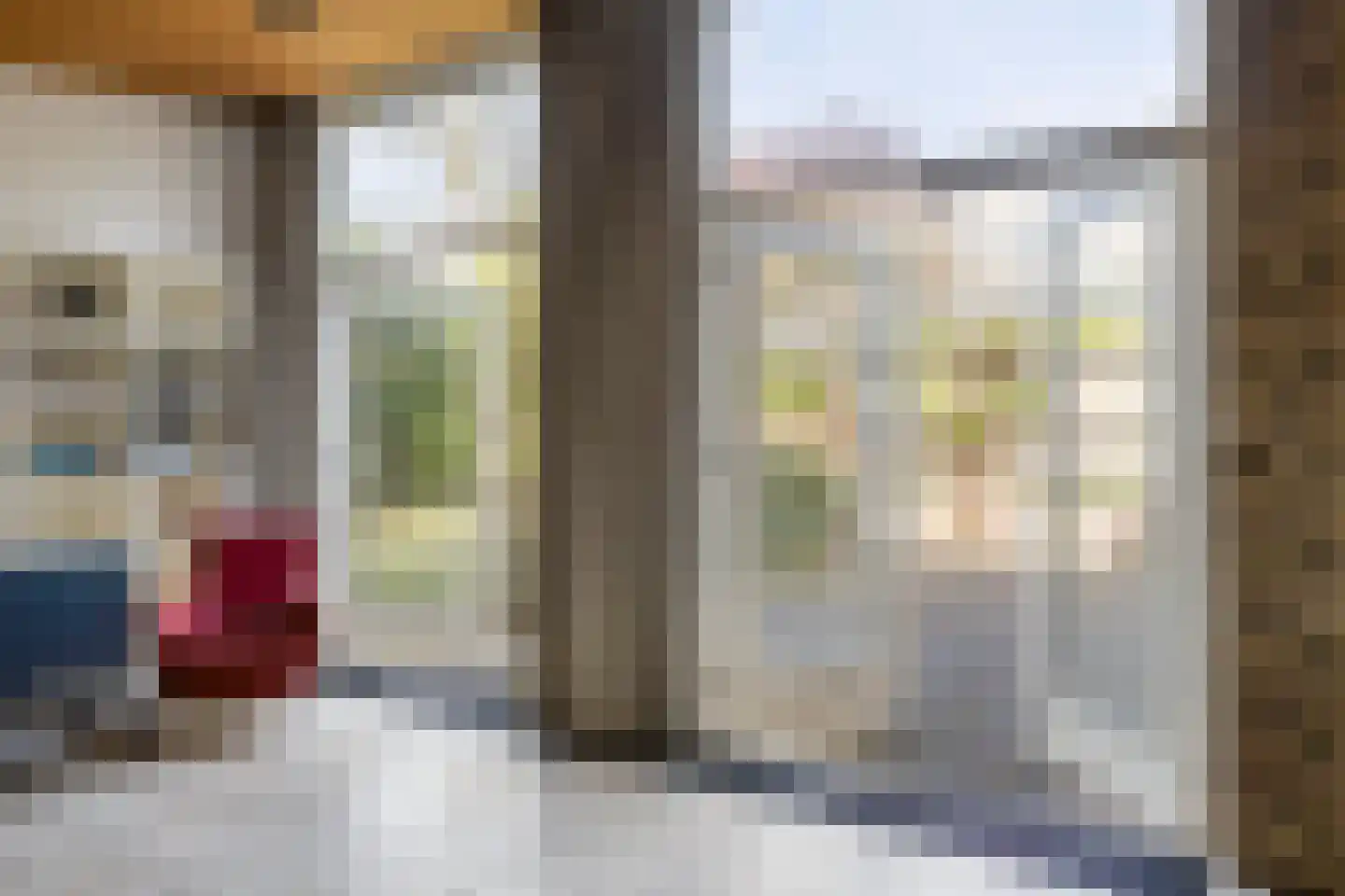 Papaverstraat 35 Sint-Michielsgestel thumbnail 10