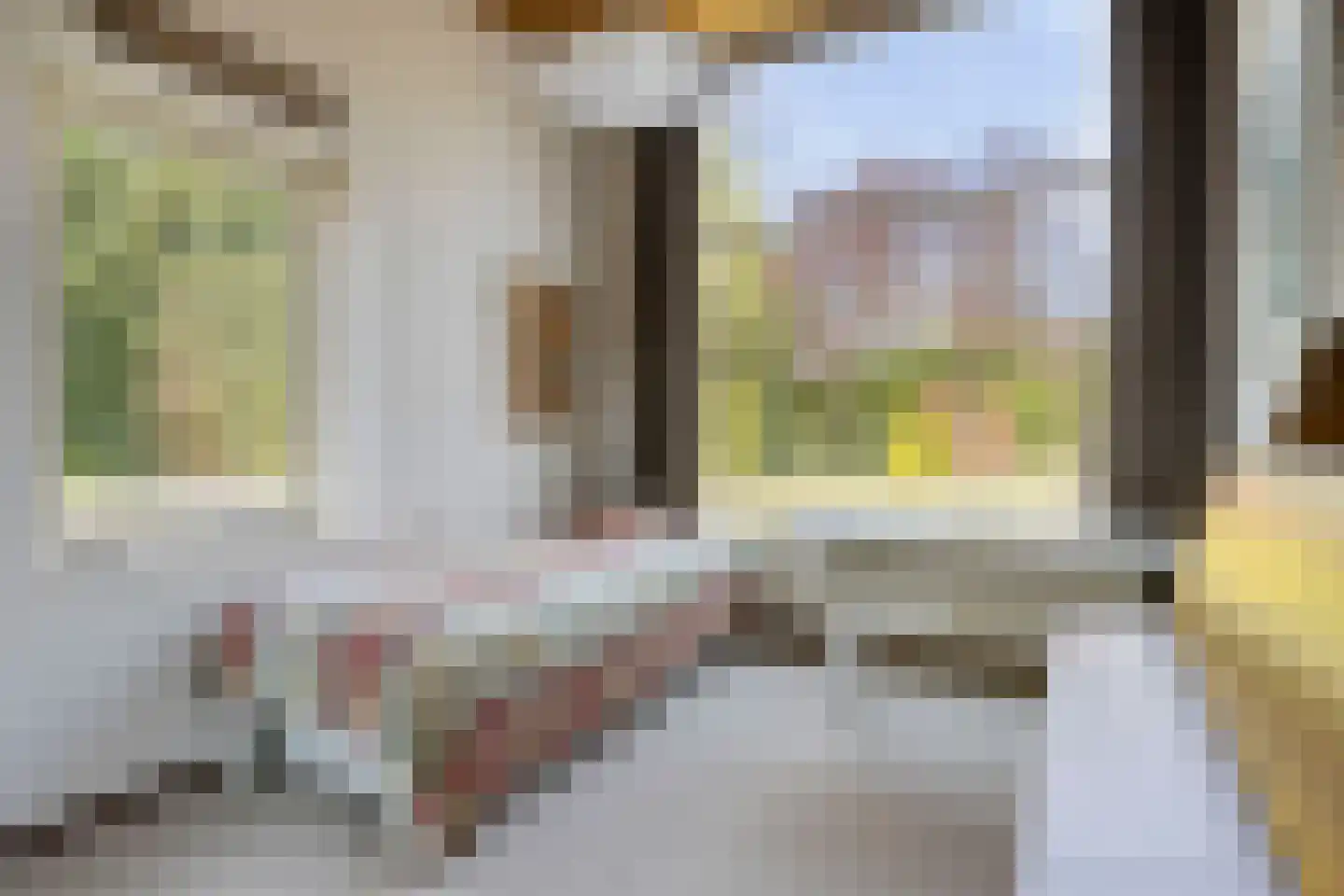 Papaverstraat 35 Sint-Michielsgestel thumbnail 23