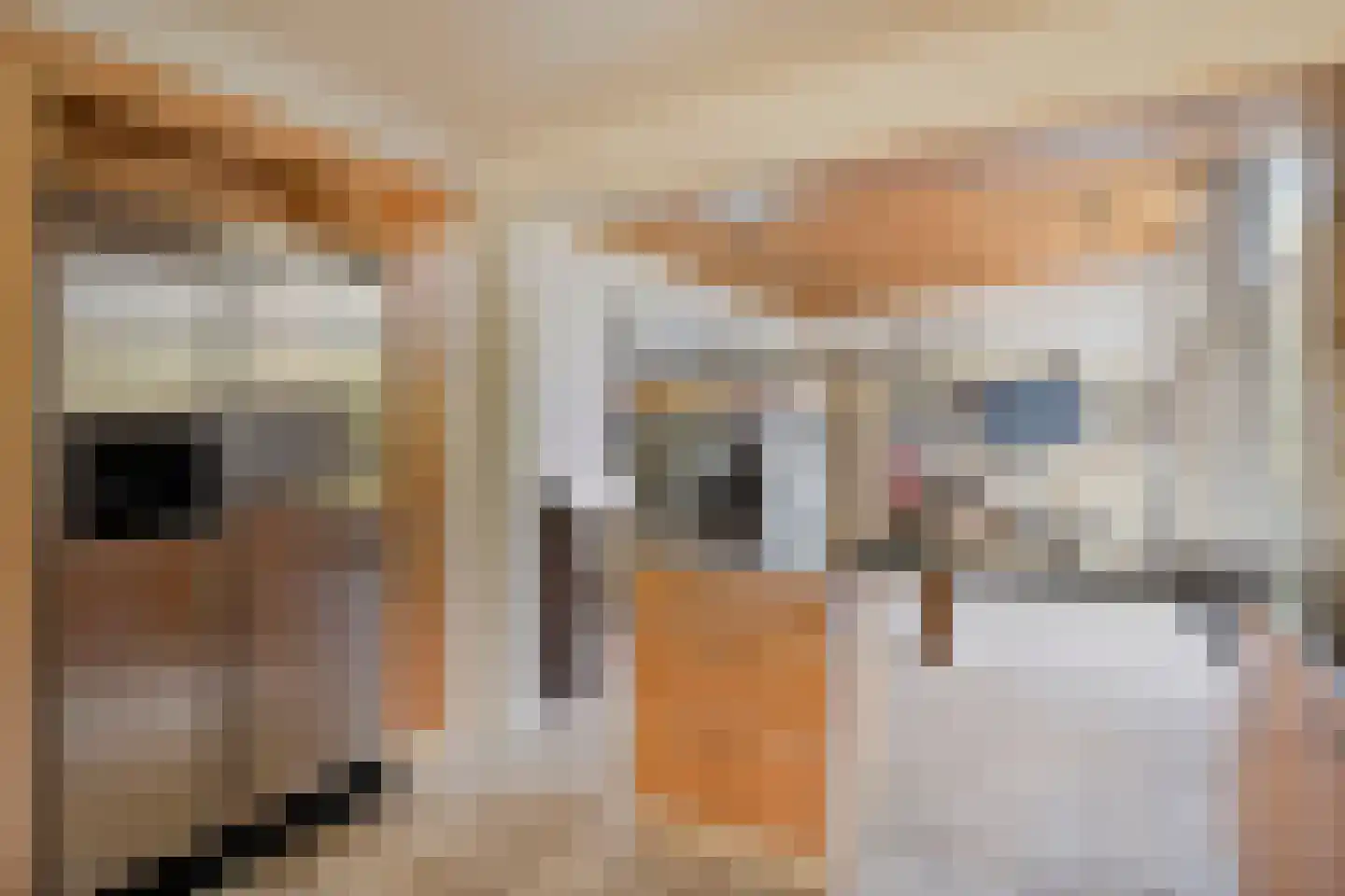 Papaverstraat 35 Sint-Michielsgestel thumbnail 8