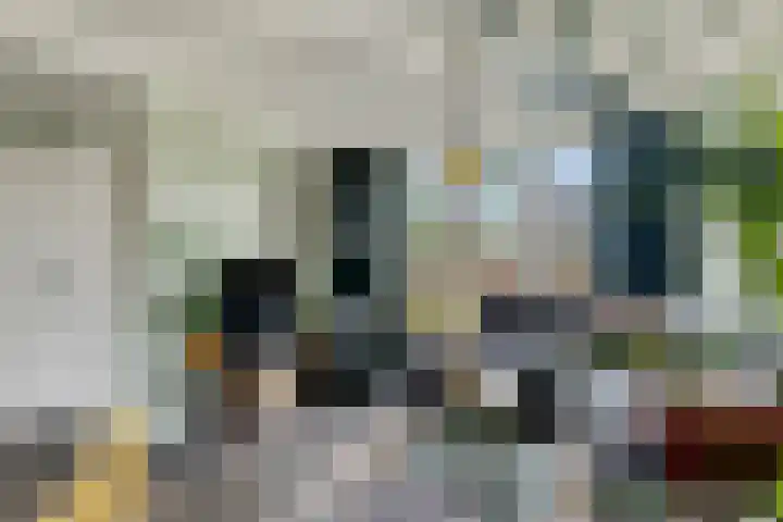 Papaverstraat 36 Odiliapeel thumbnail 6