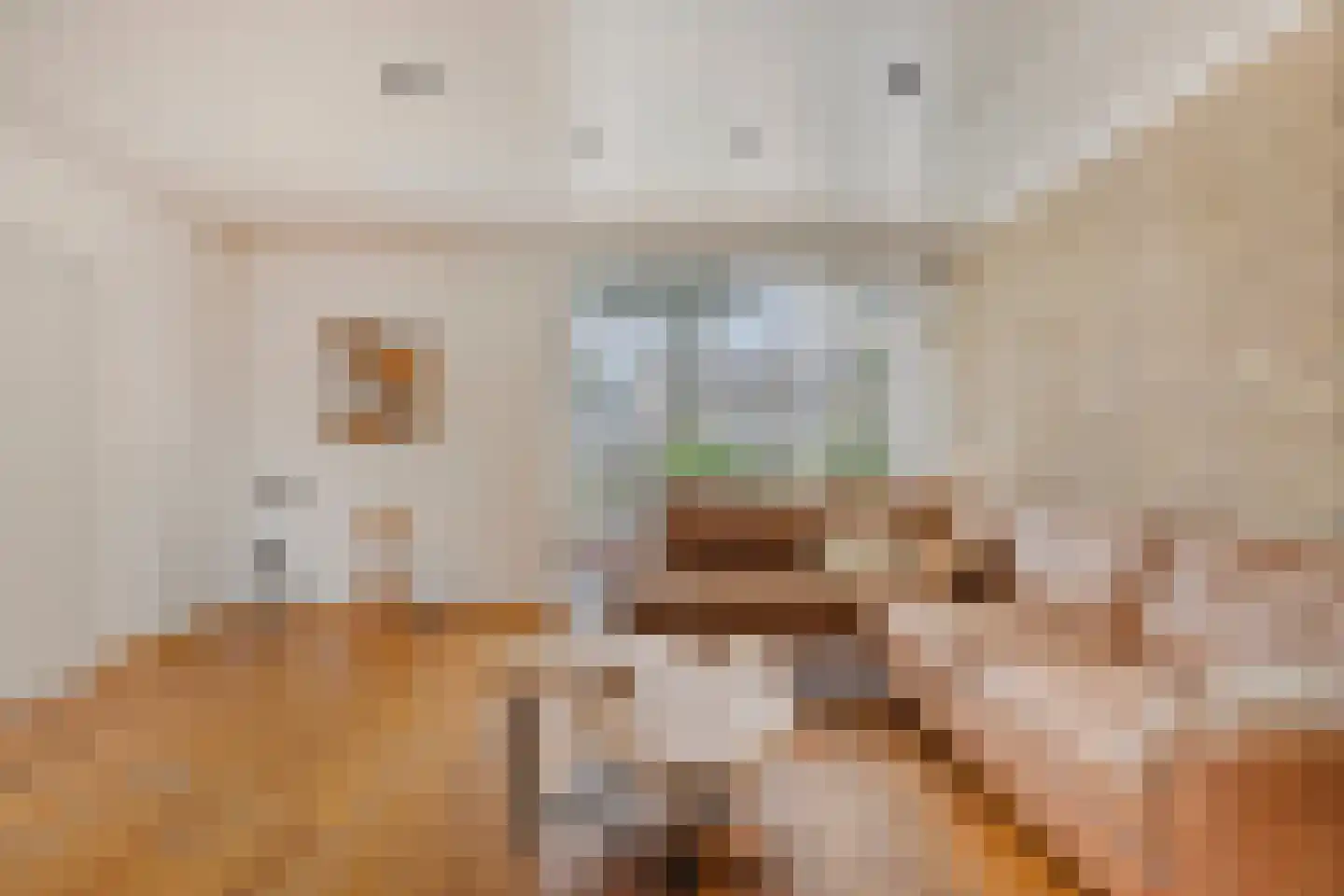 Papaverstraat 38 Odiliapeel thumbnail 10