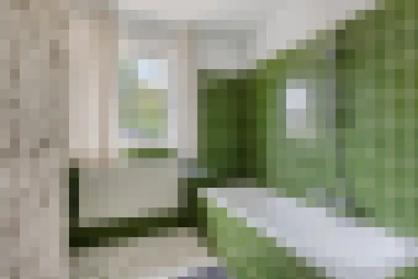 Papaverstraat 38 Odiliapeel thumbnail 20