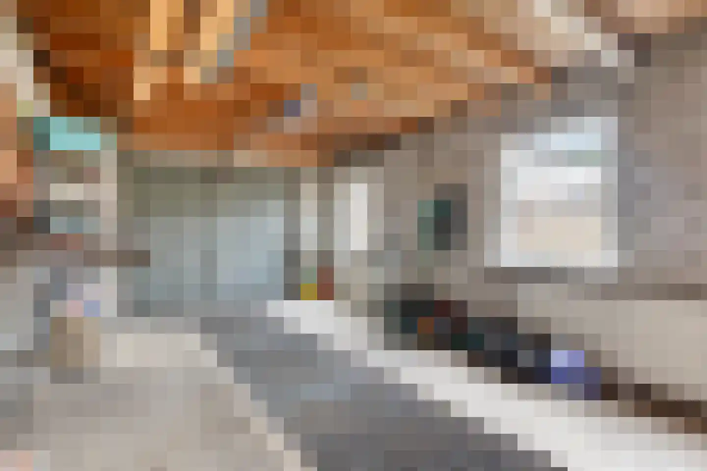 Papaverstraat 38 Odiliapeel thumbnail 37