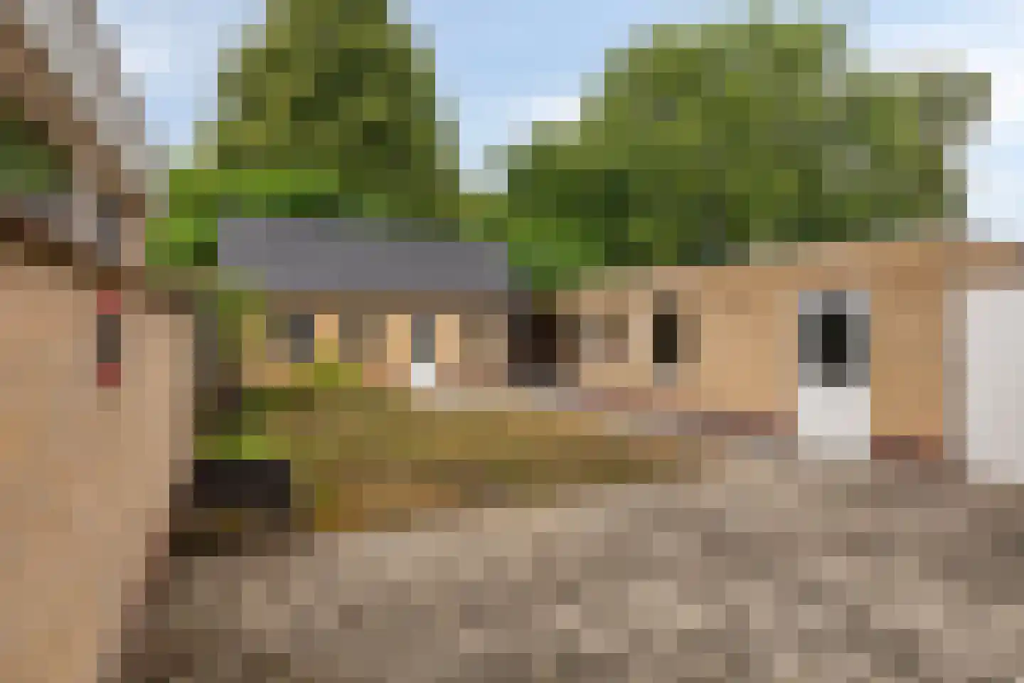 Papaverstraat 38 Odiliapeel thumbnail 4