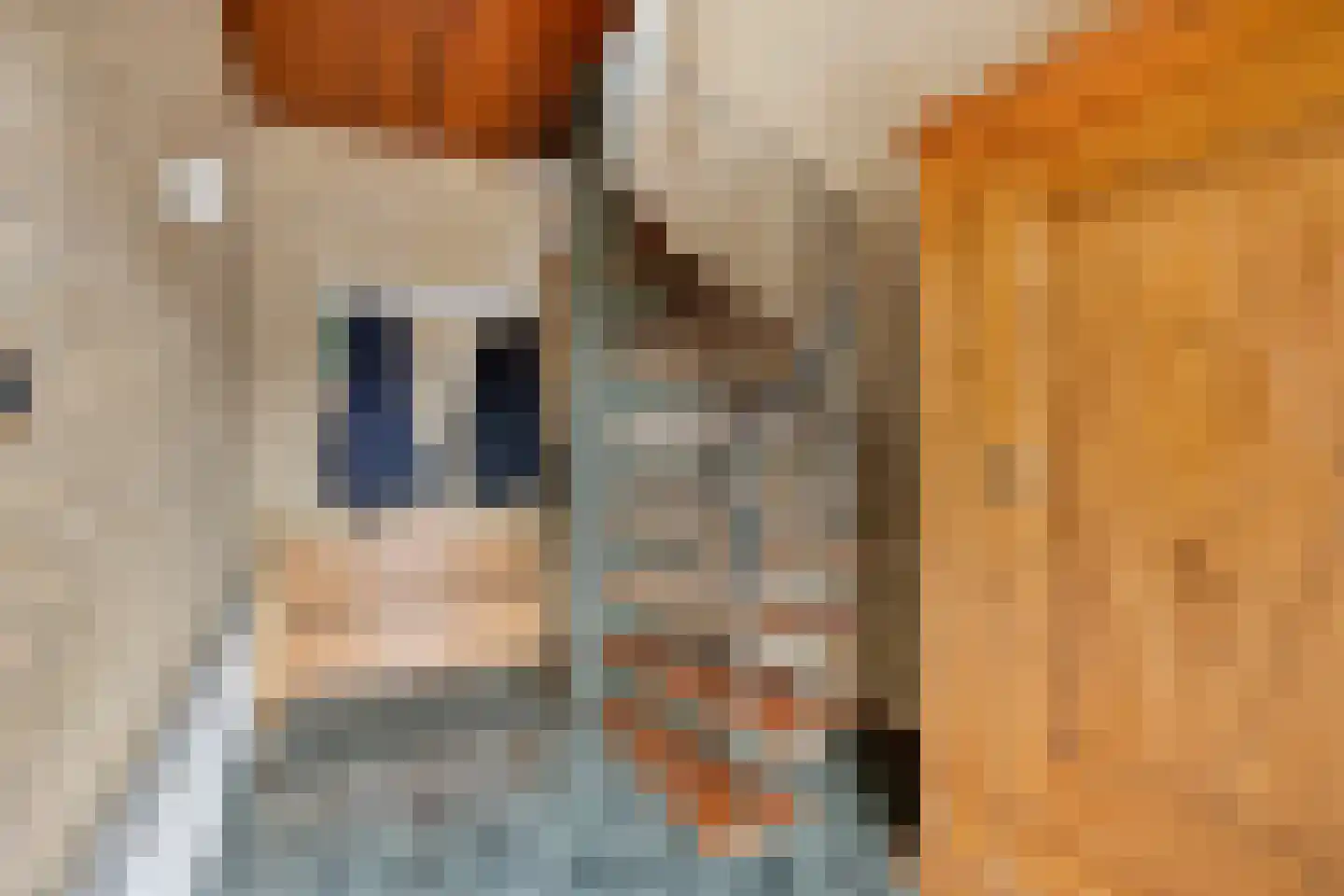 Papaverstraat 38 Odiliapeel thumbnail 7