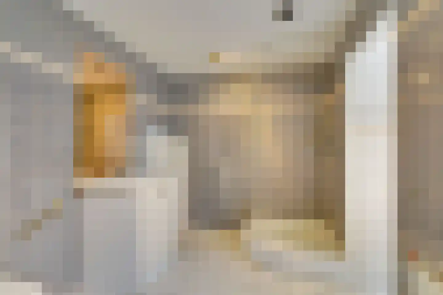 Papaverstraat 38 Utrecht thumbnail 12