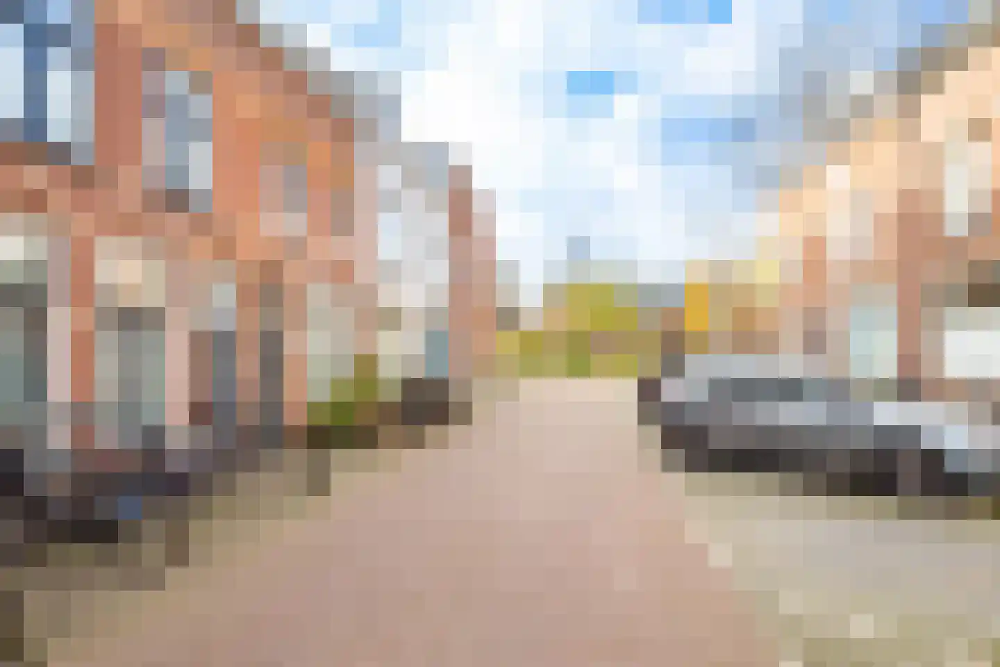 Papaverstraat 38 Utrecht thumbnail 35