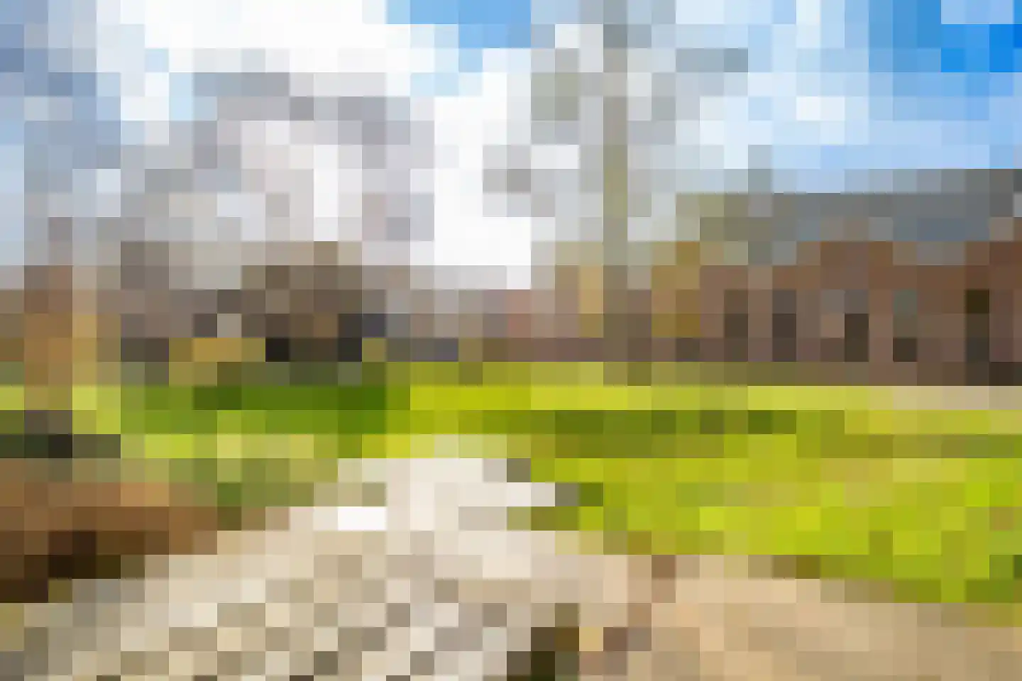 Papaverstraat 38 Utrecht thumbnail 36