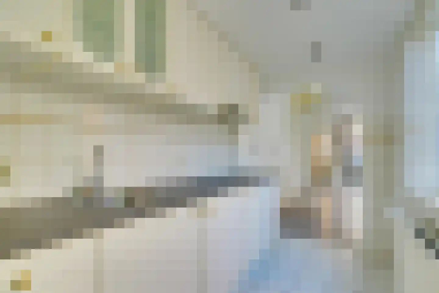 Papaverstraat 38 Utrecht thumbnail 9