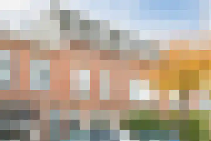Papaverstraat 4 B Utrecht thumbnail 34