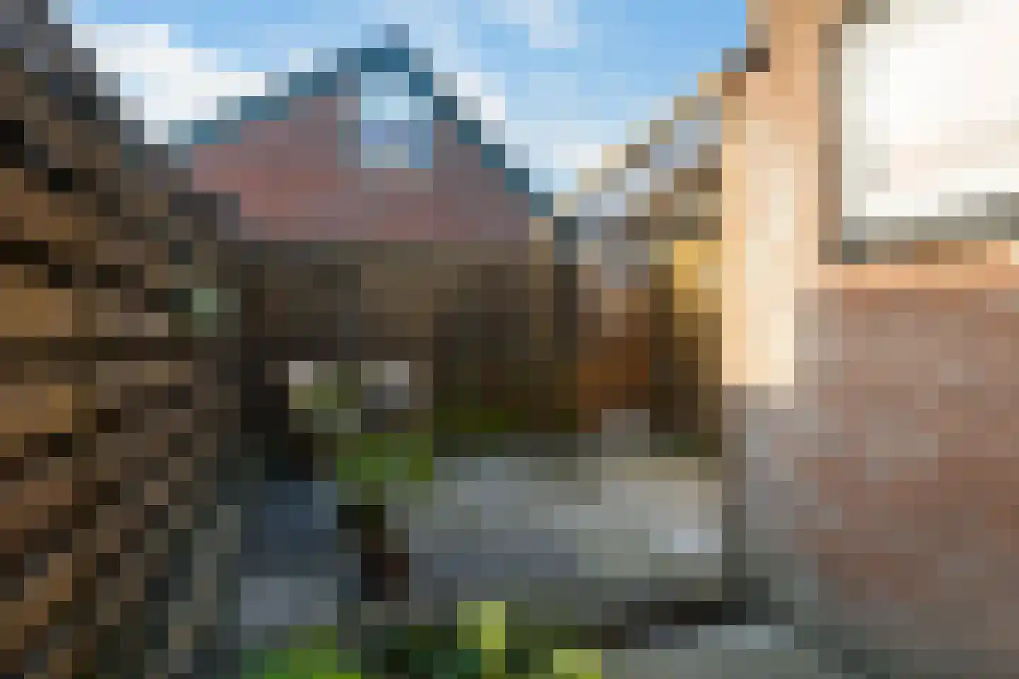 Papaverstraat 4 Leeuwarden thumbnail 24