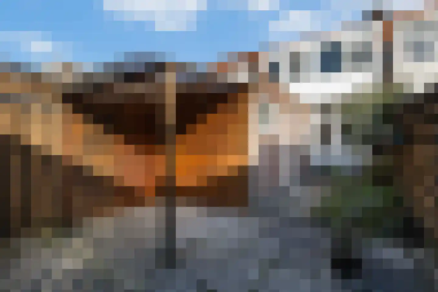 Papaverstraat 4 Leeuwarden thumbnail 25