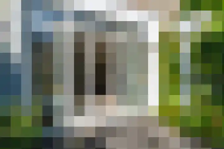 Papaverstraat 4 Utrecht thumbnail 11
