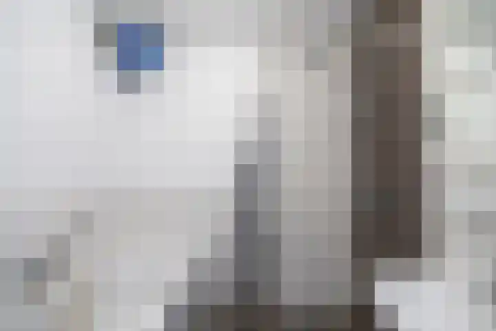 Papaverstraat 4 Utrecht thumbnail 13